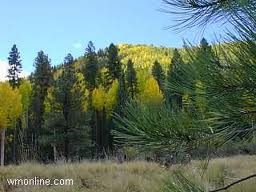 Alpine Village RV Park Alpine photo 3