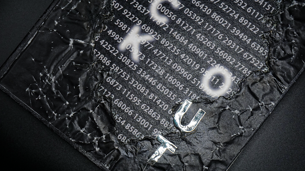 DSC01595.png