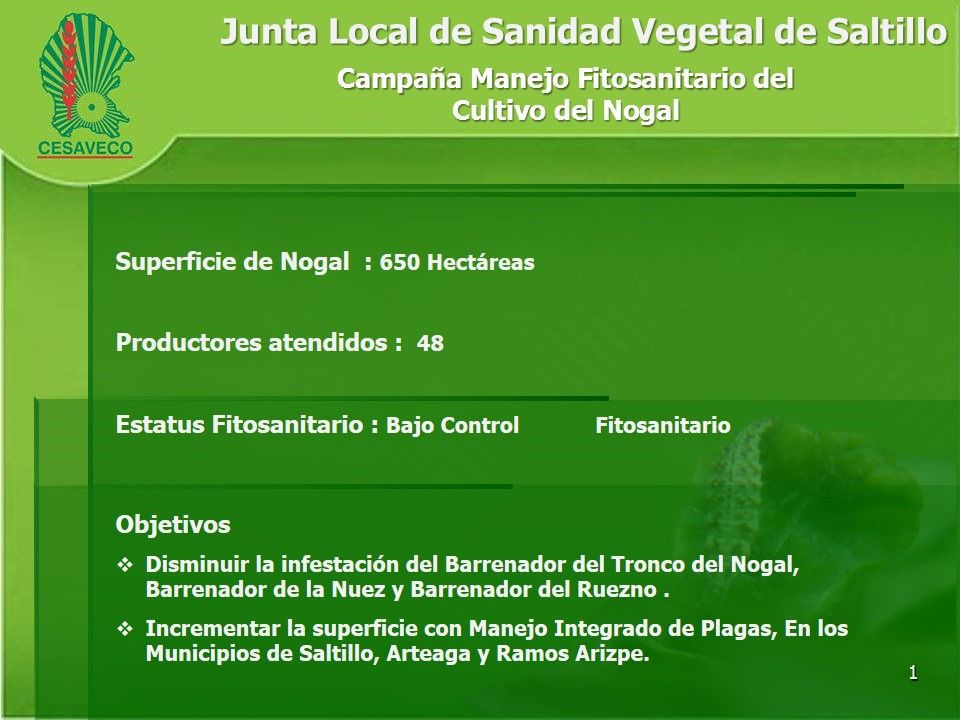 Diapositiva1.JPG