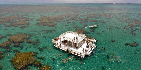 Passeio de maracajau, mergulho