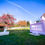 Thumbnail: Pink Enclosed Bounce House
