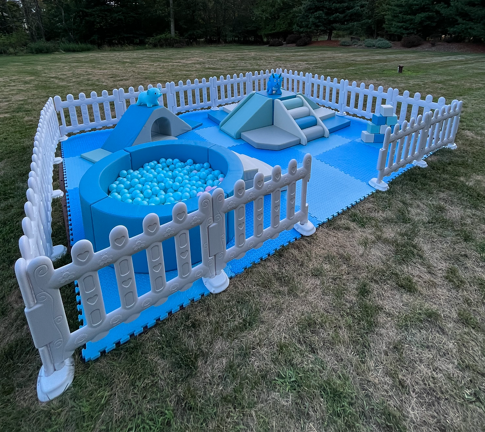 Fencing (Add on for MINI Packages)