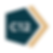c12 logo