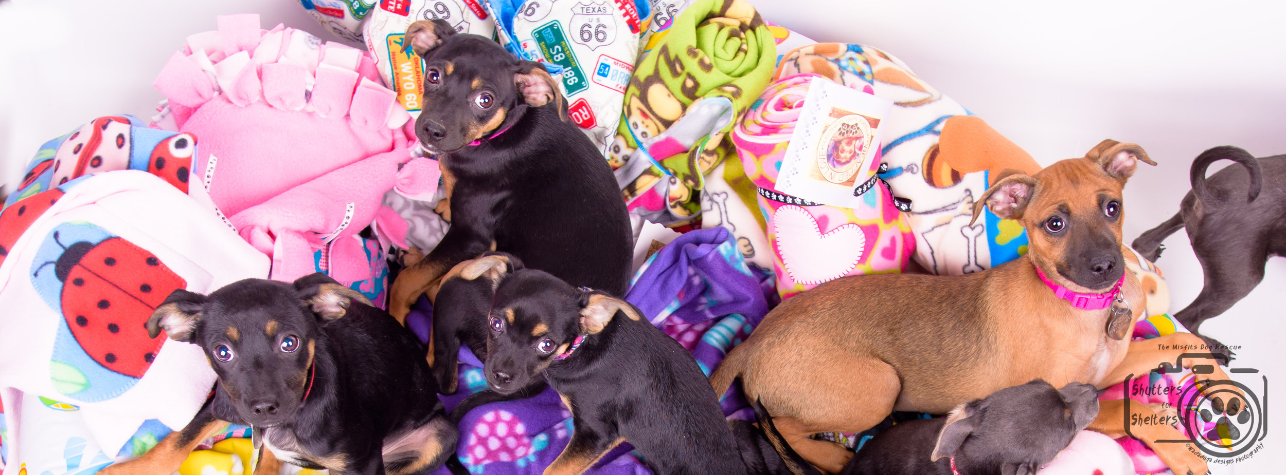 Handmade Rescue Blankets Wrapped in Love artisans with a mission