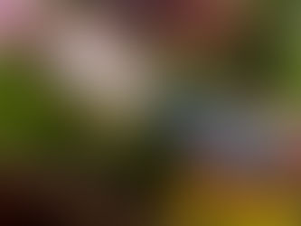 Tap to pay on iPhone is now available to users in France