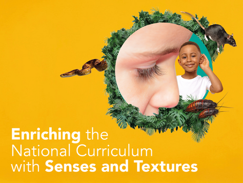Enriching the National Curriculum with Senses and Textures
