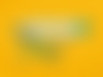 Do Lizards Lay Eggs? …And Other Questions