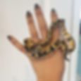 A small, patterned snake wraps around a person's hand with dark polished nails and tattoos. The background is a plain white wall.