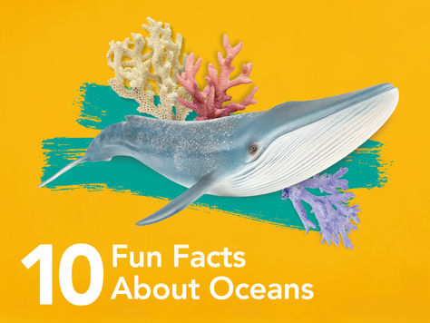 10 Fun Facts About Oceans