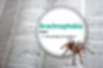 Book close-up showing the definition of "Arachnophobia" with a realistic spider image. Text reads "1. the phobia of spiders."