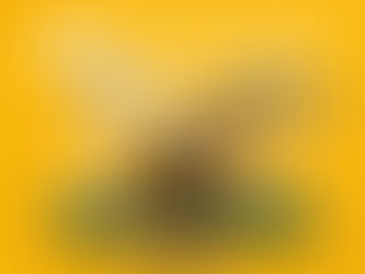 10 Fun Facts About Greek Animals