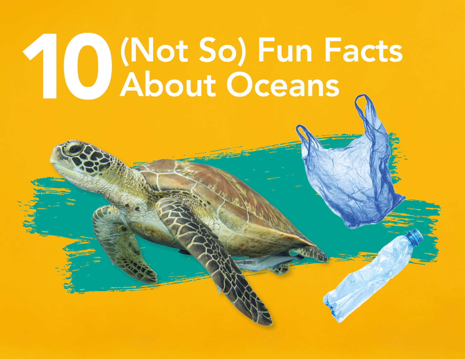10 (Not So) Fun Facts About Oceans