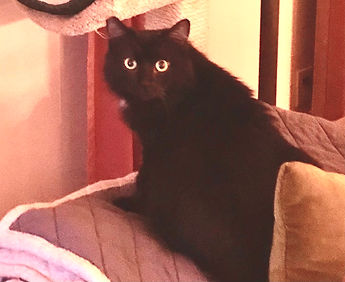 Luna, Blakie