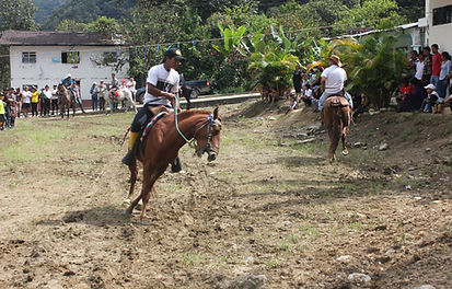 Torneo de cintas