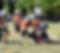 images (1).jpeg
