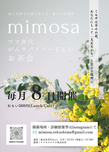 mimosaチラシ