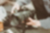 pexels-photo-1097768.jpeg