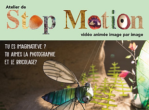 StopMotion_flyer_.jpg