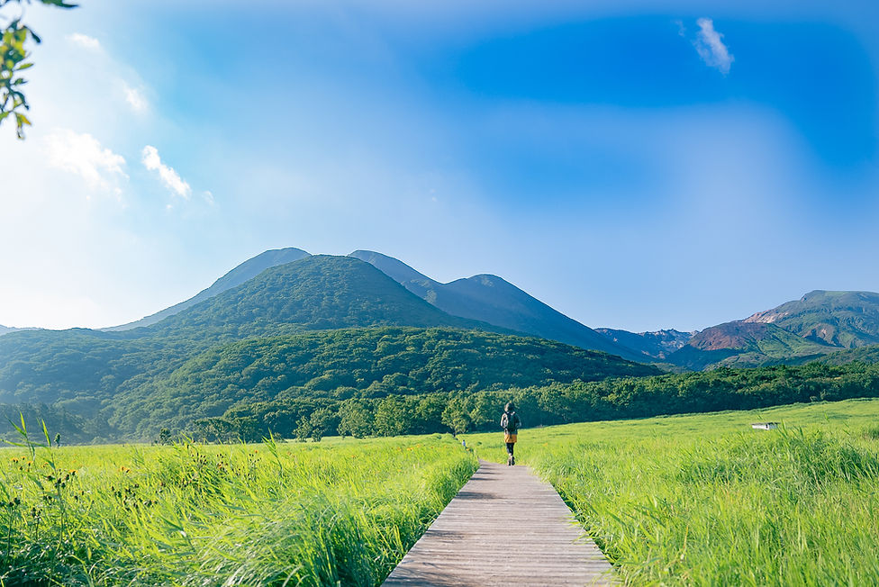 chojabaru_tadehara (3).jpg