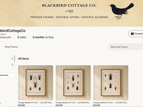 The Famous Beetles & The Unpolished Truth - Day 82