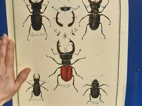 Day 35 - Lost in the Sea of Colour Profiles and Endless Search for Perfection