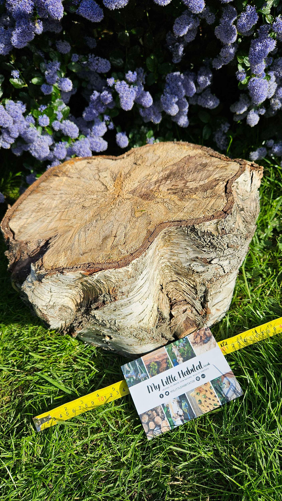 Thumbnail: Garden Feature Log
