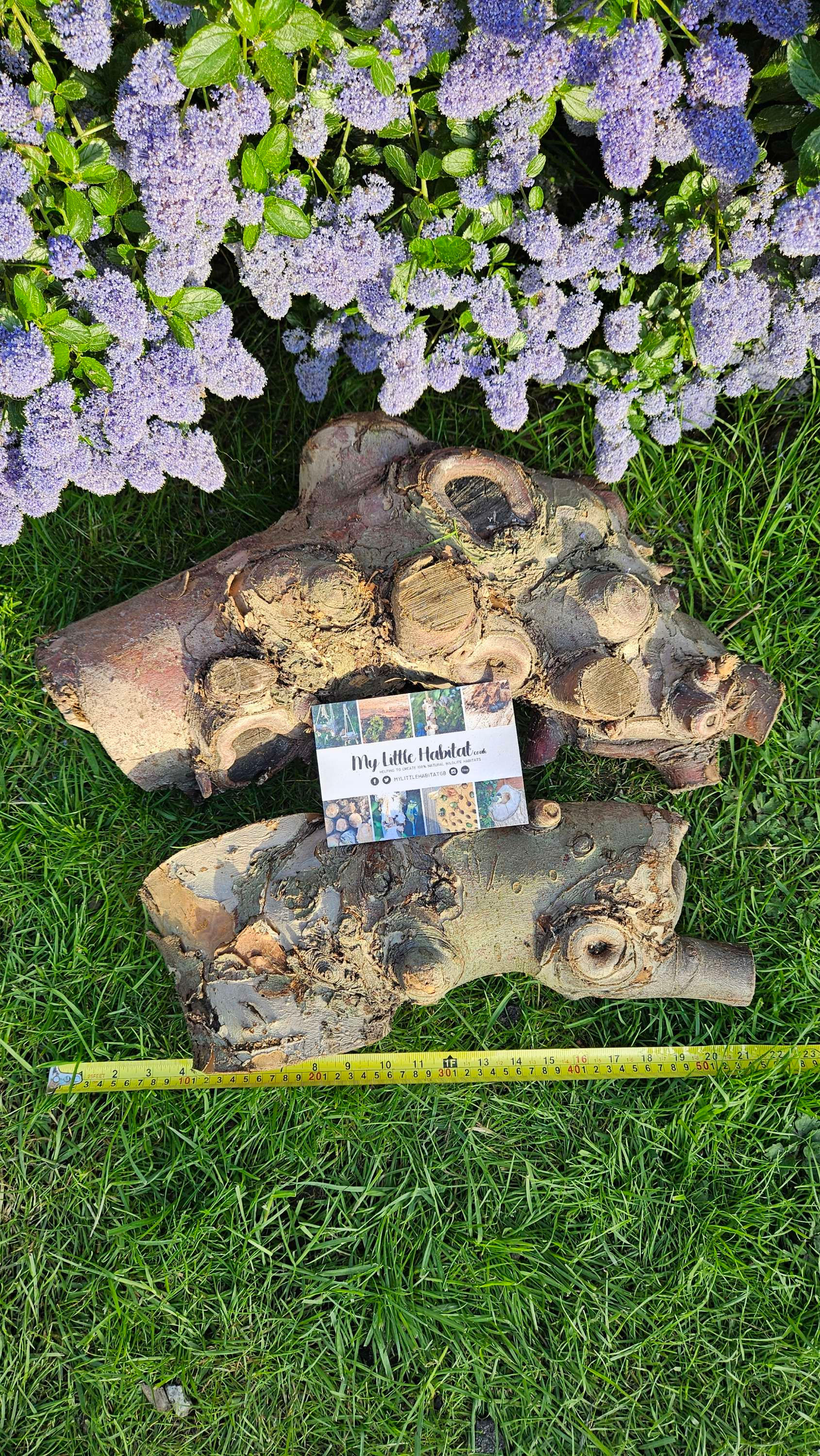 Duo of Garden Feature Logs 