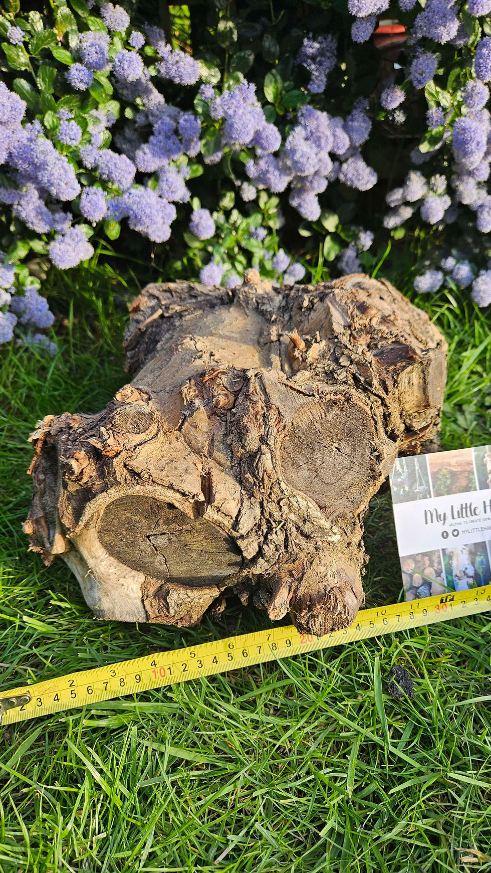 Thumbnail: Garden Feature Log