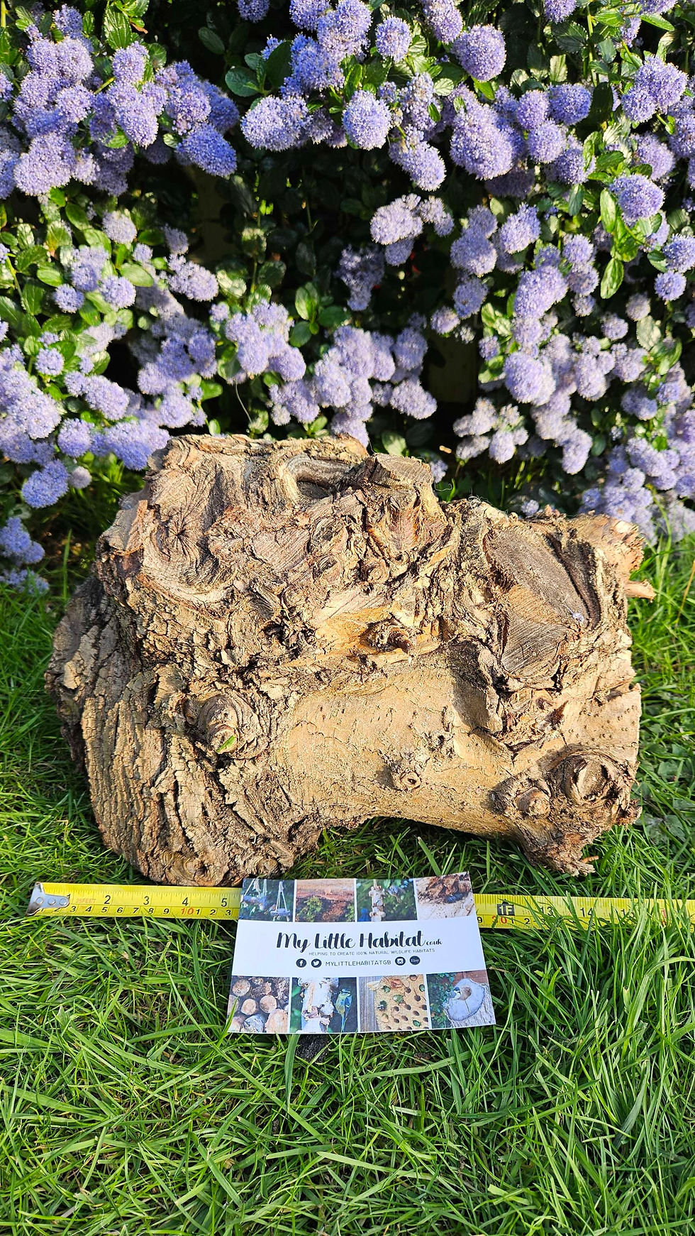 Thumbnail: Garden Feature Log