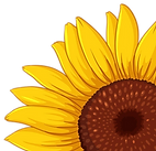 bright-yellow-sunflower-design-decorations.png