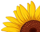 bright-yellow-sunflower-design-decorations.png