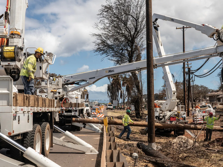 Hawaii Must Fix its Disastrous Disaster Management