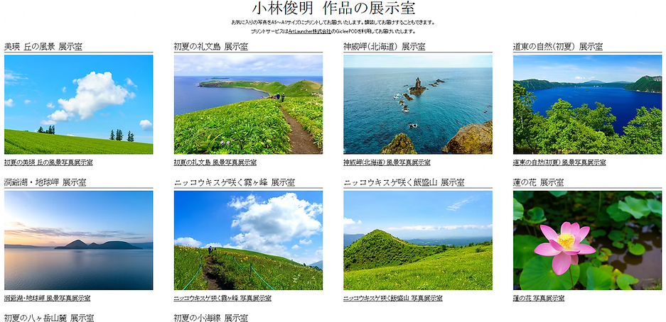 作品展示室.png