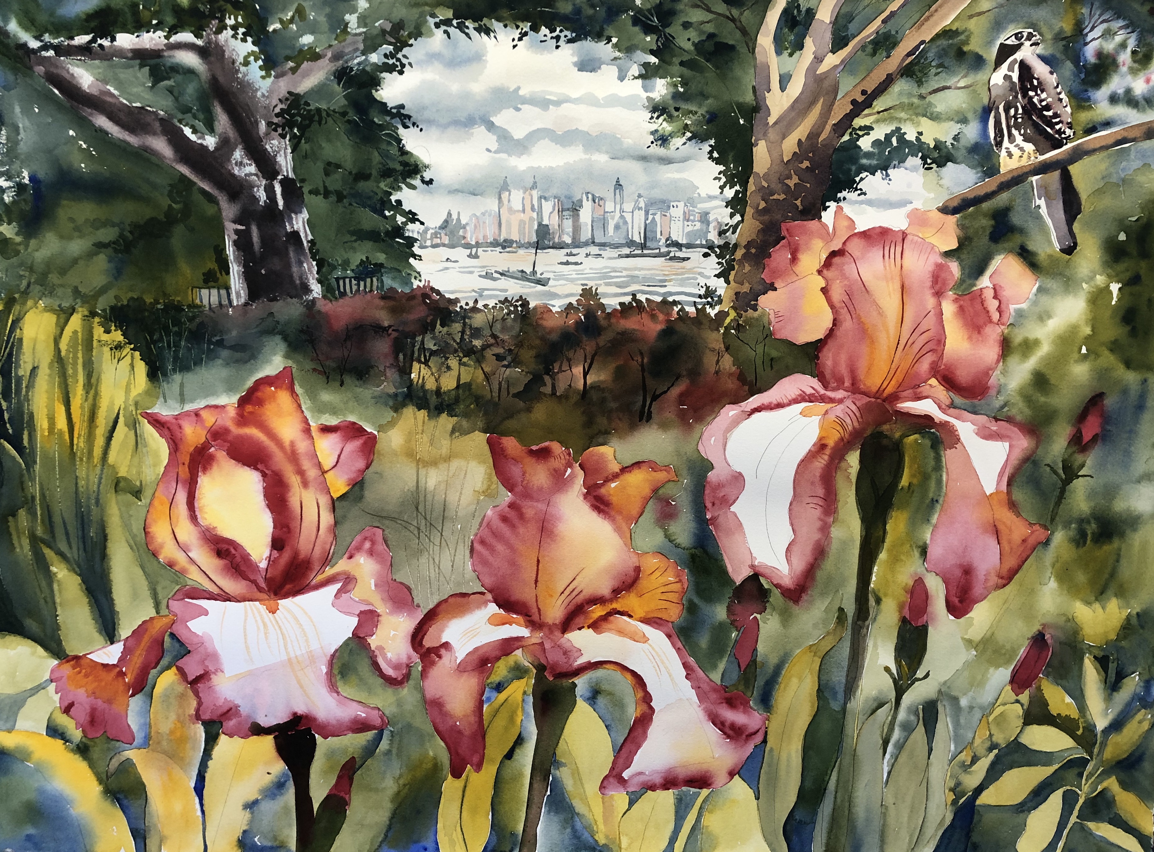 Dancing Irises In City Oasis