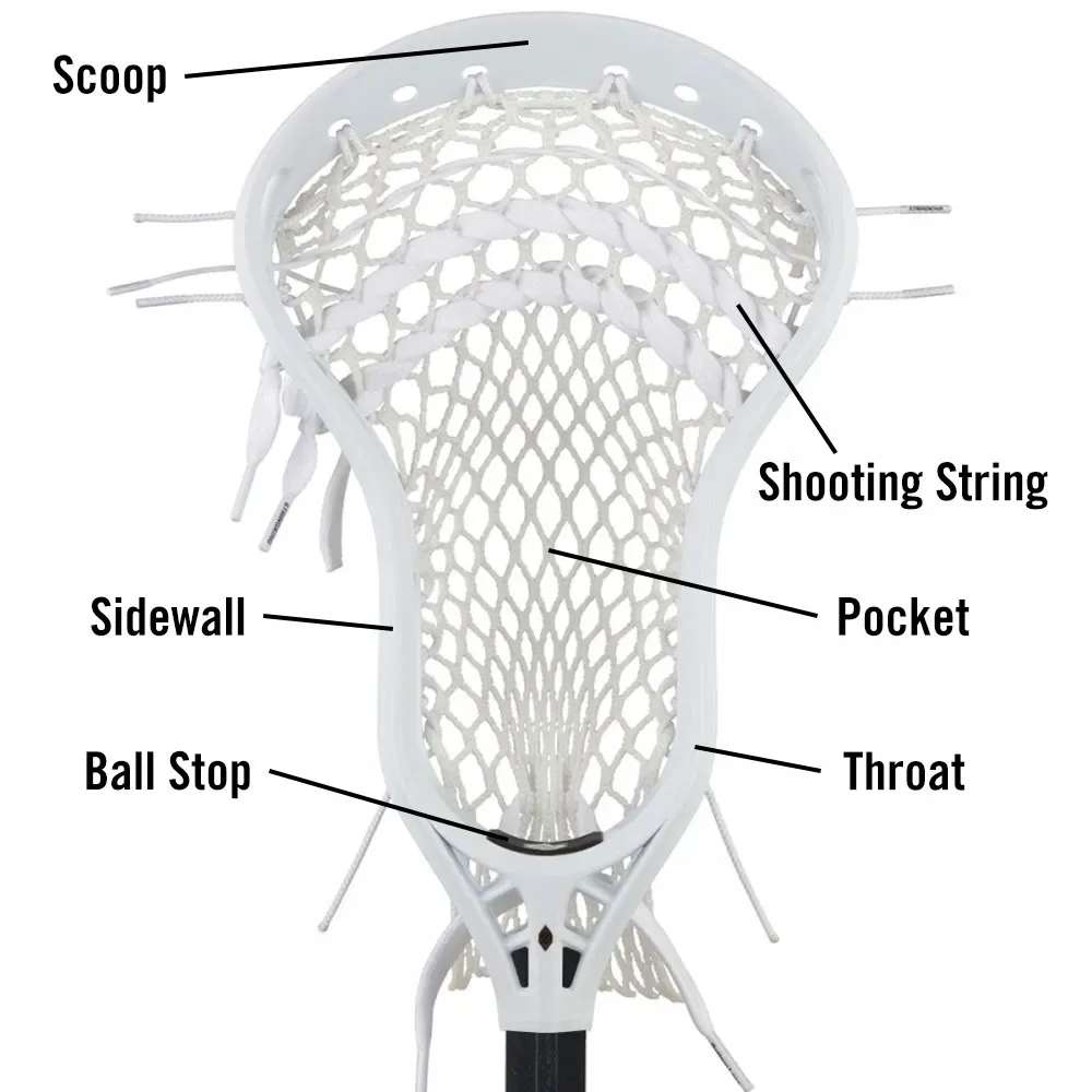 parts-of-a-lacrosse-head.webp