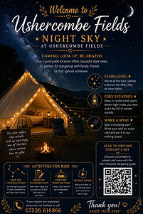 Night Sky.jpg