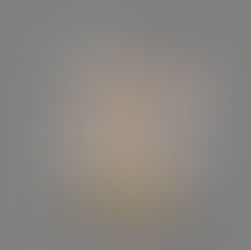 INWENTARYZACJA FOTOGRAMETRYCZNA ELEWACJI KAMIENICY W KROTOSZYNIE