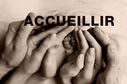 AdobeStock_439027960 copie