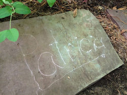 Abigail invited Girl Scouts.