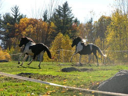 A Peace Path for Jody.