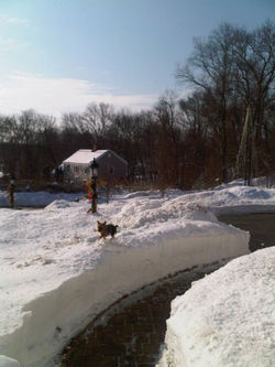 A Peace Path for Chrissey.