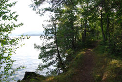 A Peace Path for Joanne.