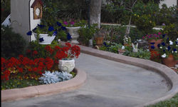 The Path spread to Florida.