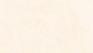 section-bg.jpg