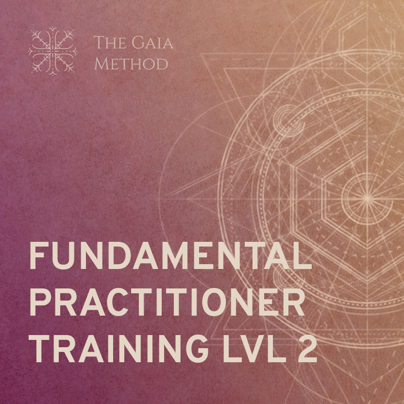 Fundamental Practitioner Training - Part 2