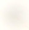 bg-section-5.jpg