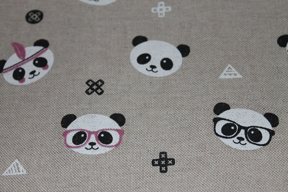 Miniature : Protège Carnet de Santé Panda