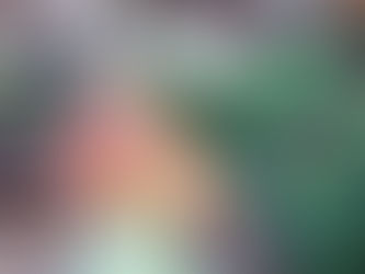 突然秋がやってきました
