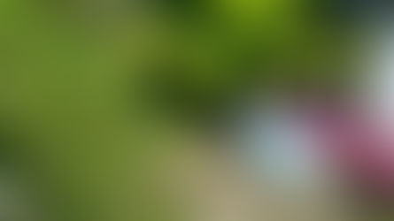 【2018年5月発行 笑福だより】ひのきしんとは感謝の喜びを言葉や行動に表すこと
それって人が仲良く暮らすコツだと思いませんか?