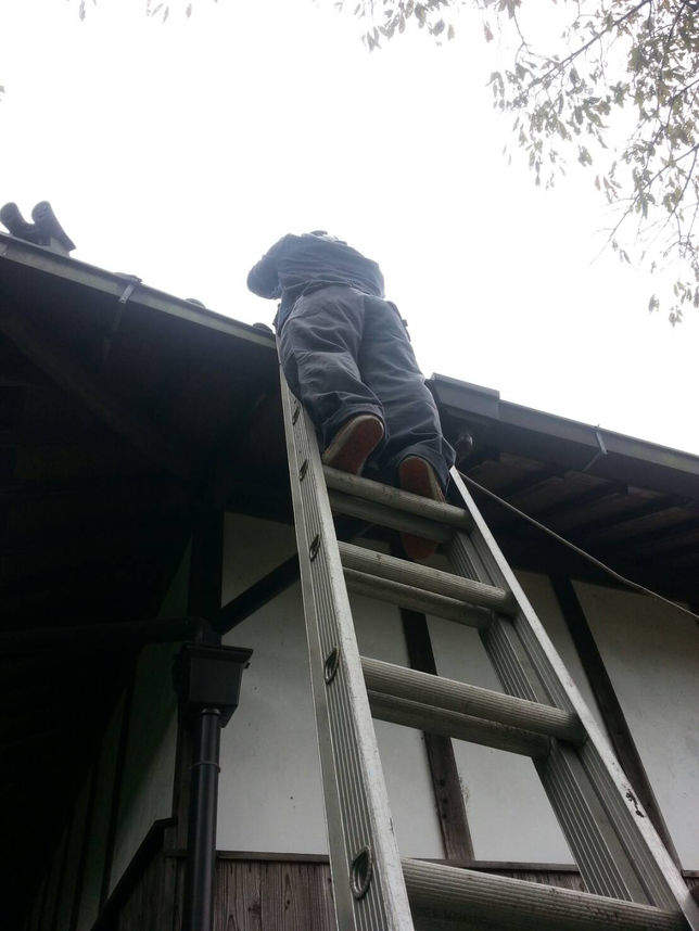 神殿屋根の雨どい掃除をしました